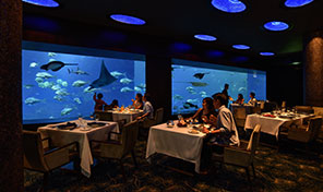 Dining in Singapore | Resorts World Sentosa
